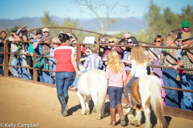 2013/2014 Arabhorse Farm Tours