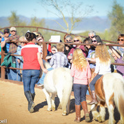 2013/2014 Arabhorse Farm Tours