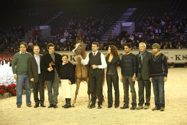 2010 Salon Du Cheval - World Championships Results