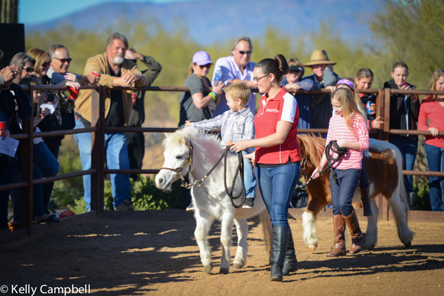 2013/2014 Arabhorse Farm Tours