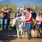 2013/2014 Arabhorse Farm Tours