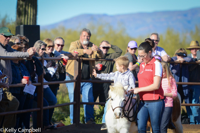 2013/2014 Arabhorse Farm Tours