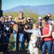 2013/2014 Arabhorse Farm Tours