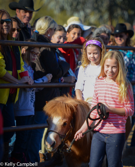 2013/2014 Arabhorse Farm Tours