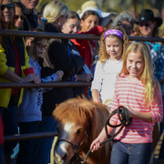 2013/2014 Arabhorse Farm Tours