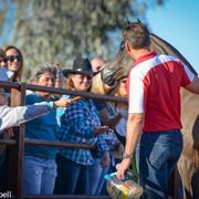 2013/2014 Arabhorse Farm Tours