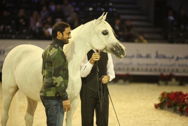 2010 Salon Du Cheval - World Championships Results