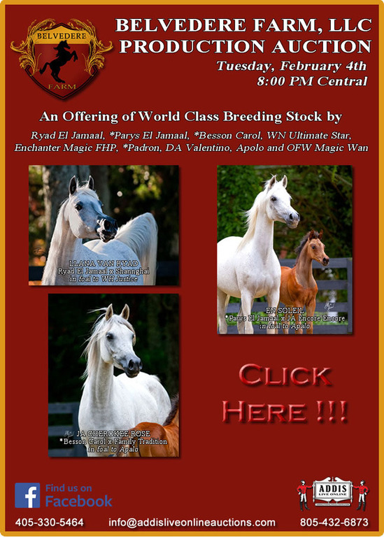 Belvedere Farm Production Auction