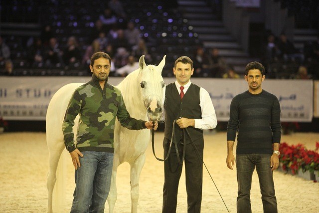 2010 Salon Du Cheval - World Championships Results