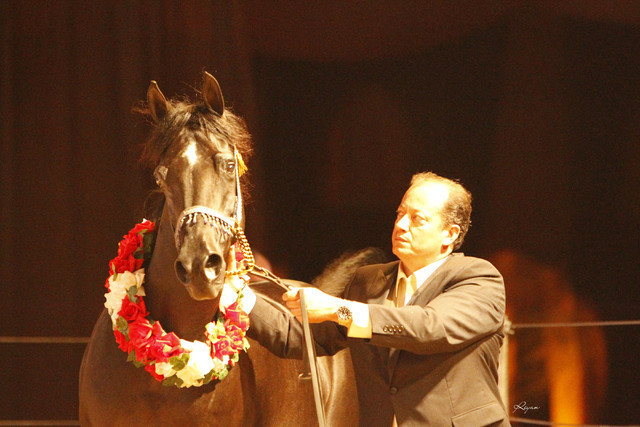 2011 Intarah Auctions