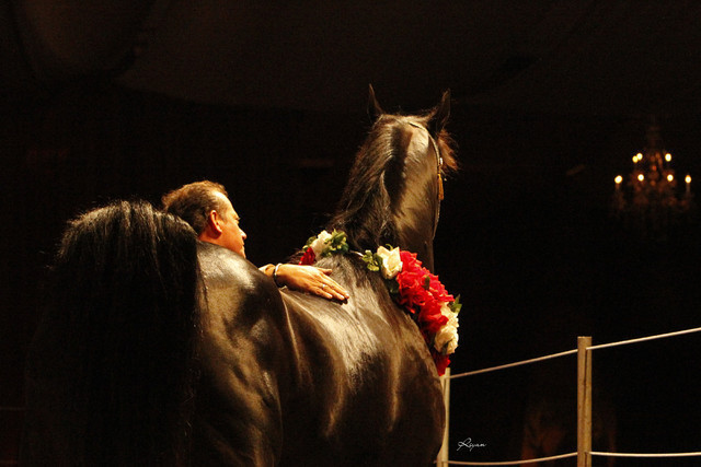 2011 Intarah Auctions