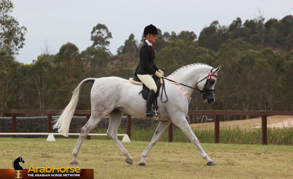 Highlights from East Coast Championships - Australia 