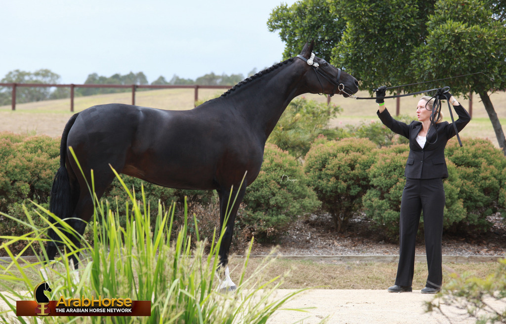 Highlights from East Coast Championships - Australia 