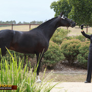 Highlights from East Coast Championships - Australia 