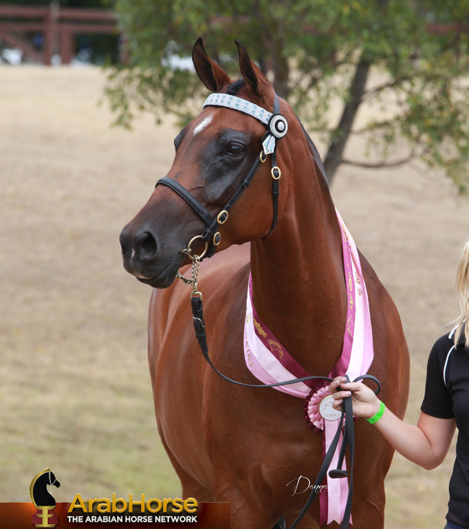 Highlights from East Coast Championships - Australia 