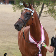 Highlights from East Coast Championships - Australia 