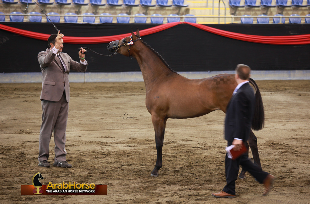 Highlights from East Coast Championships - Australia 