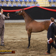 Highlights from East Coast Championships - Australia 