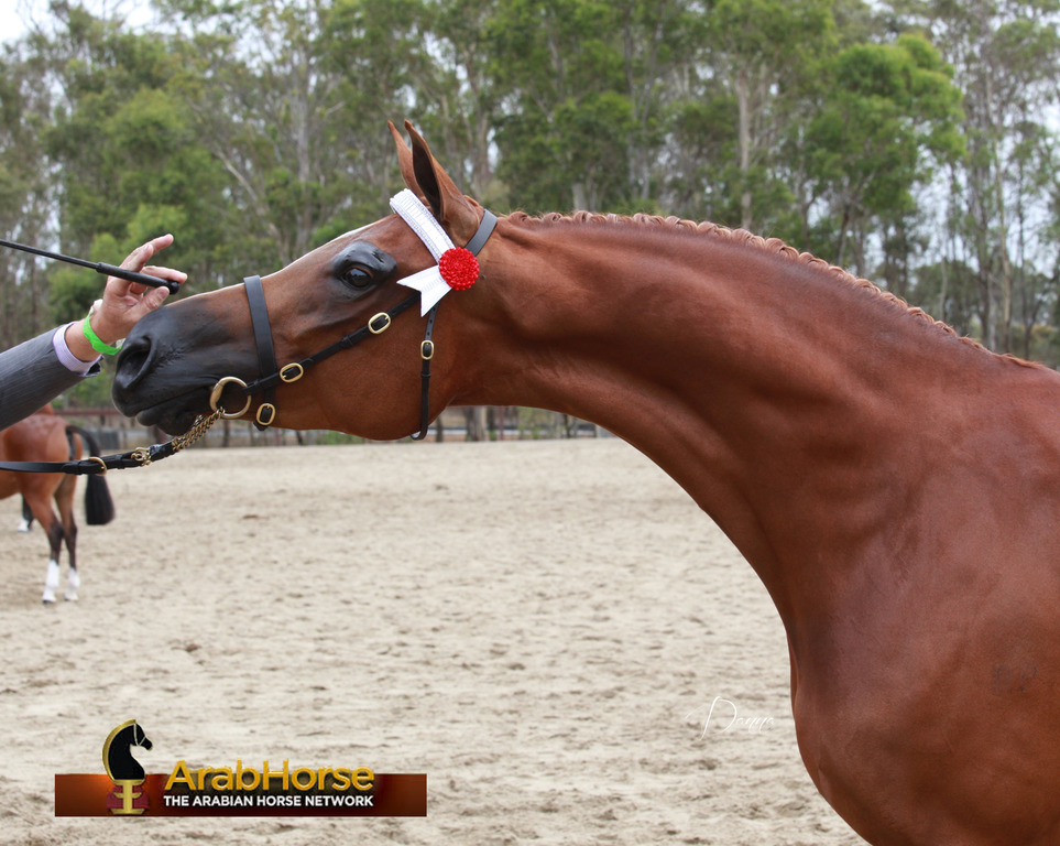 Highlights from East Coast Championships - Australia 