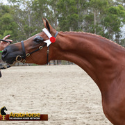 Highlights from East Coast Championships - Australia 