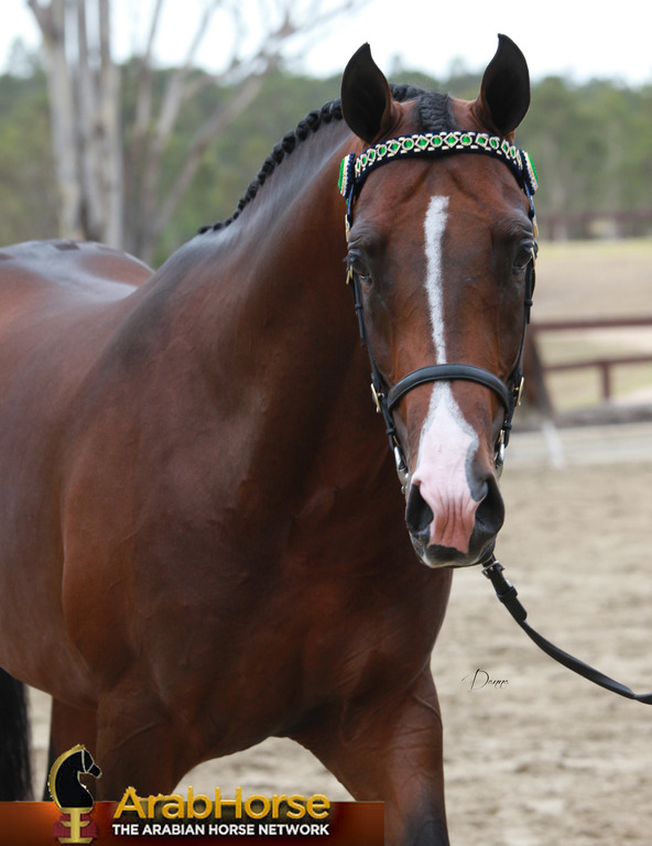 Highlights from East Coast Championships - Australia 