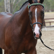 Highlights from East Coast Championships - Australia 