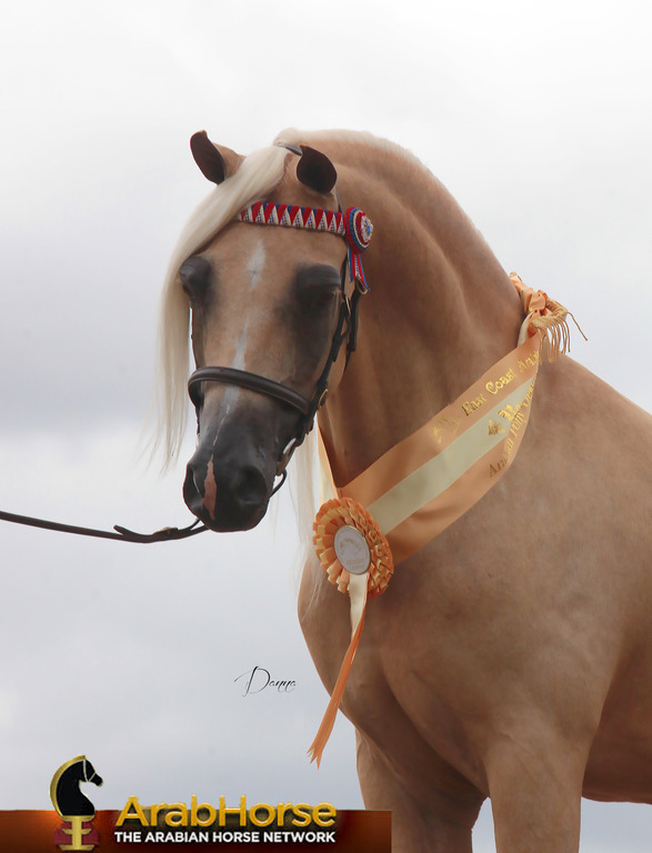 Highlights from East Coast Championships - Australia 