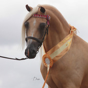 Highlights from East Coast Championships - Australia 