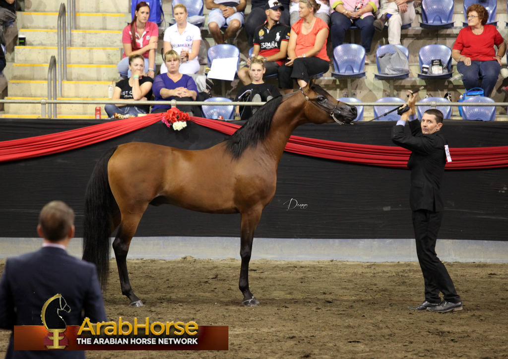 Highlights from East Coast Championships - Australia 