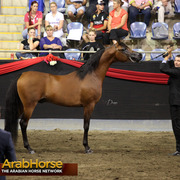 Highlights from East Coast Championships - Australia 