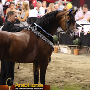 Highlights from East Coast Championships - Australia 