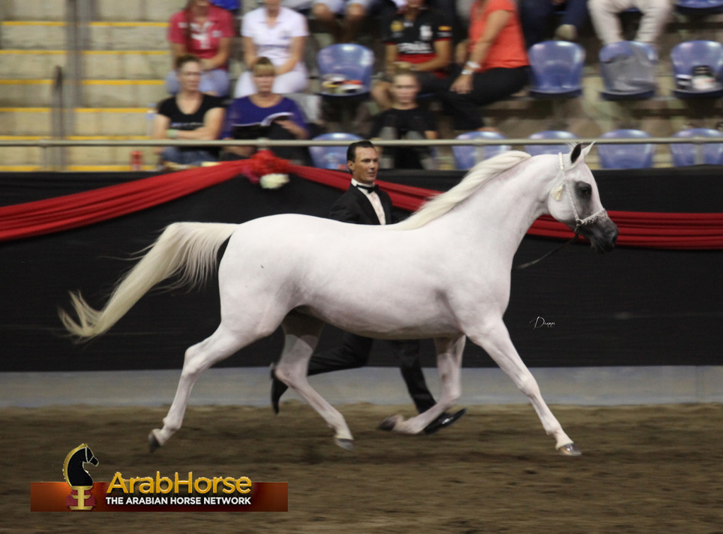 Highlights from East Coast Championships - Australia 