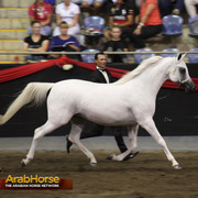 Highlights from East Coast Championships - Australia 