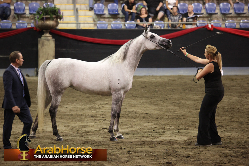 Highlights from East Coast Championships - Australia 