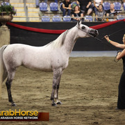 Highlights from East Coast Championships - Australia 