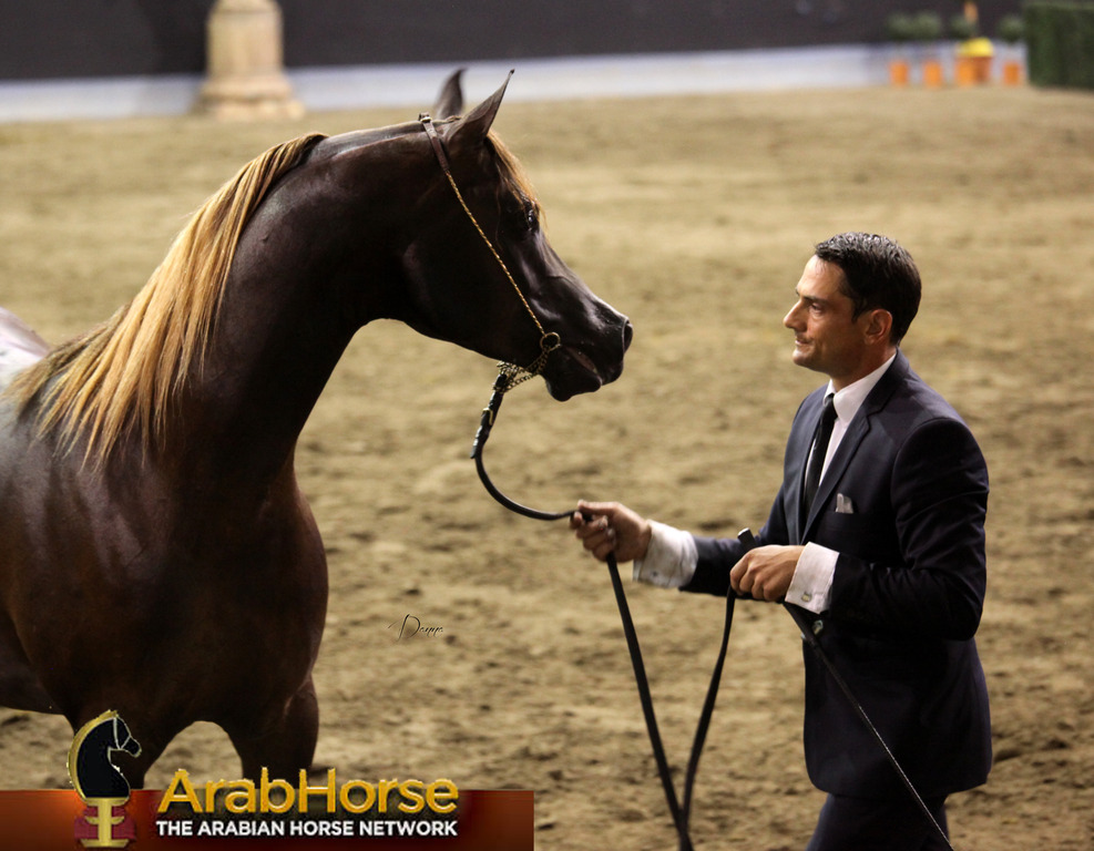 Highlights from East Coast Championships - Australia 