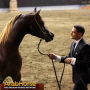 Highlights from East Coast Championships - Australia 