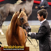 Highlights from East Coast Championships - Australia 