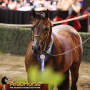 Highlights from East Coast Championships - Australia 