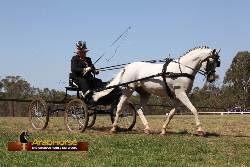Highlights from East Coast Championships - Australia 