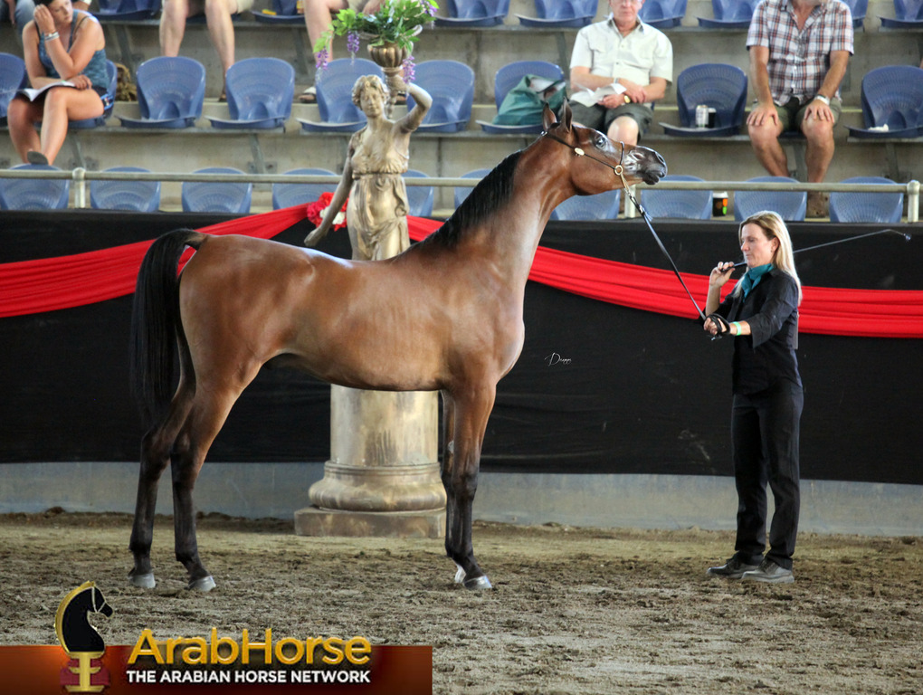 Highlights from East Coast Championships - Australia 