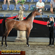 Highlights from East Coast Championships - Australia 