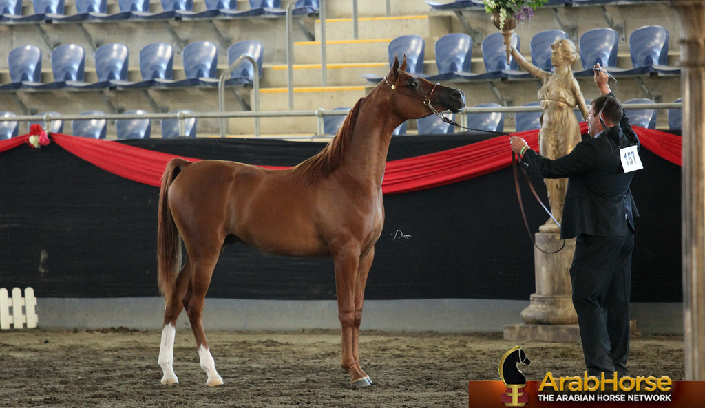 Highlights from East Coast Championships - Australia 