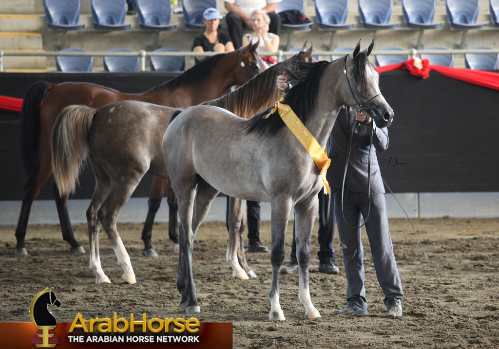 Highlights from East Coast Championships - Australia 