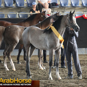 Highlights from East Coast Championships - Australia 