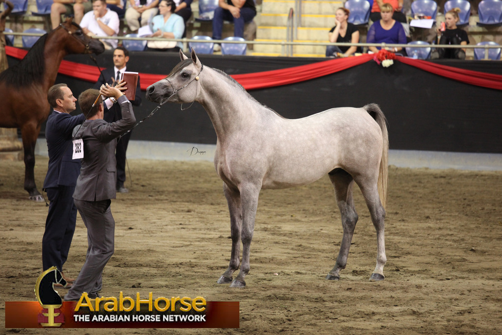 Highlights from East Coast Championships - Australia 