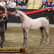 Highlights from East Coast Championships - Australia 