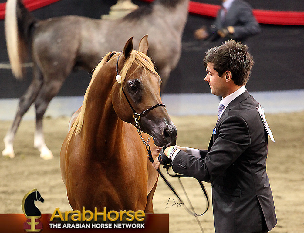 Highlights from East Coast Championships - Australia 