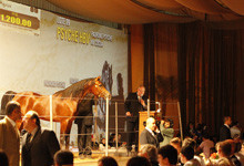 2011 Intarah Auctions