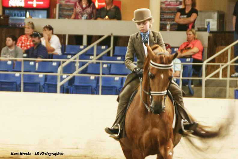 2014 Scottsdale Arabian Horse Show